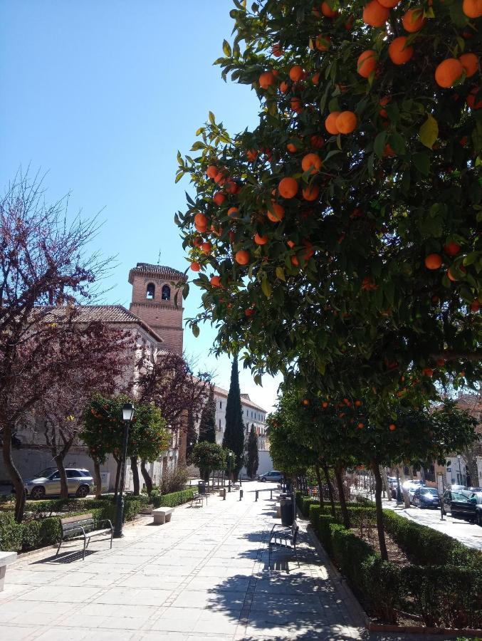 Apartamento Cueva La Taracea Apartment Granada Bagian luar foto